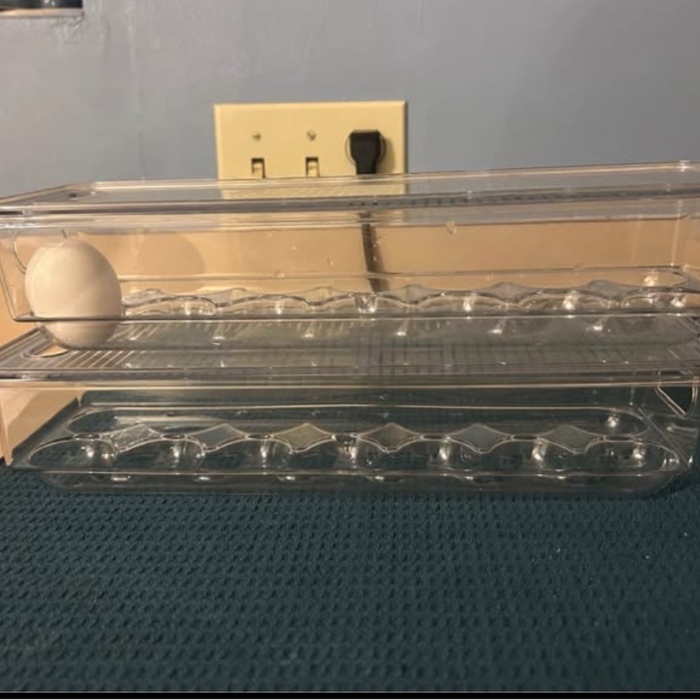 Clear Egg Storage Container